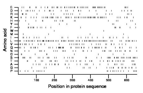 amino acid map