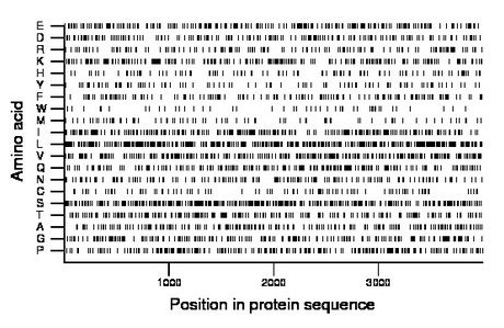 amino acid map