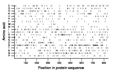 amino acid map