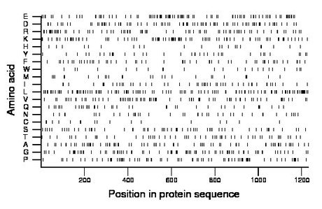 amino acid map