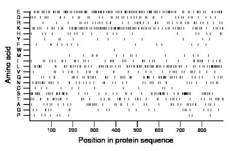 amino acid map