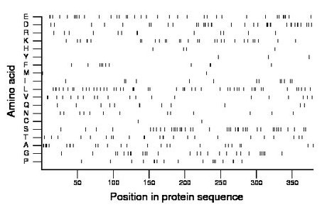 amino acid map