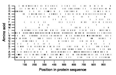 amino acid map