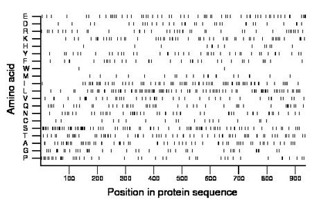 amino acid map