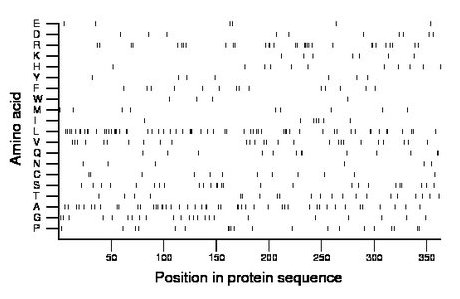 amino acid map