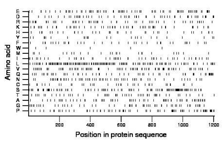 amino acid map