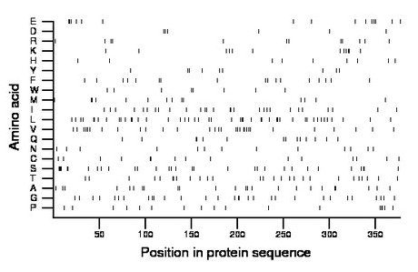 amino acid map