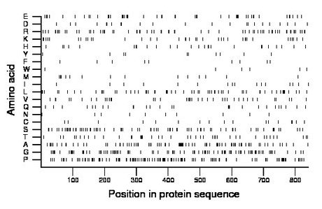 amino acid map