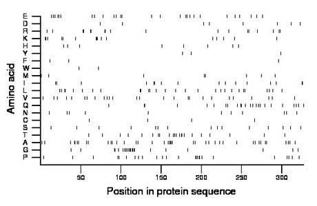 amino acid map