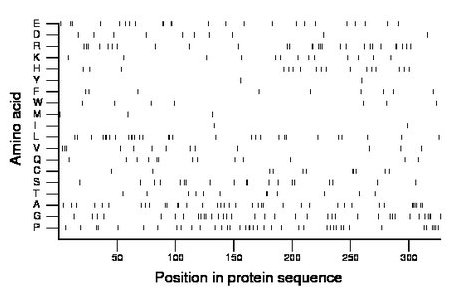 amino acid map