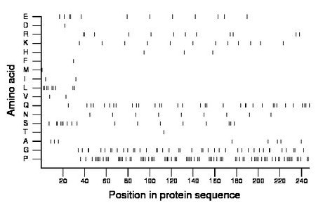 amino acid map