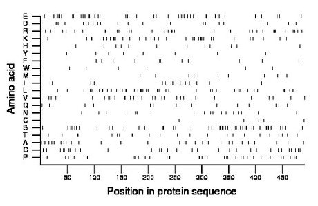 amino acid map