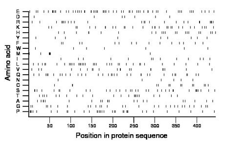 amino acid map