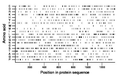 amino acid map