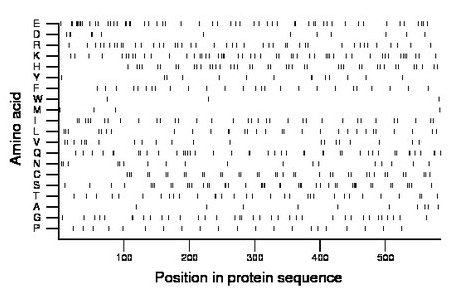 amino acid map