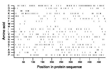 amino acid map