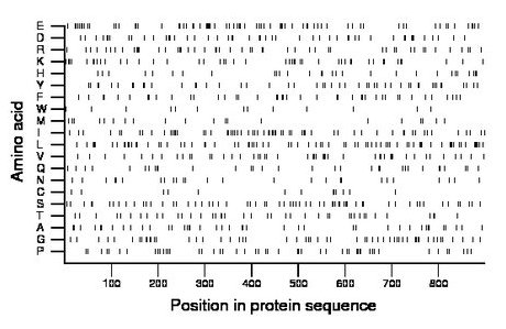 amino acid map