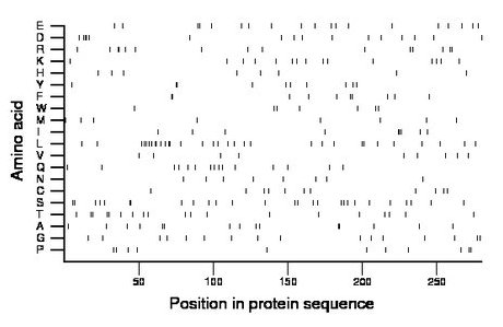 amino acid map