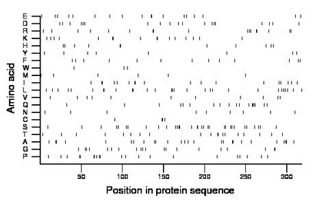 amino acid map