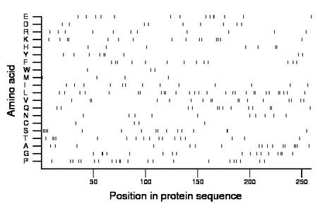 amino acid map