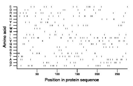 amino acid map