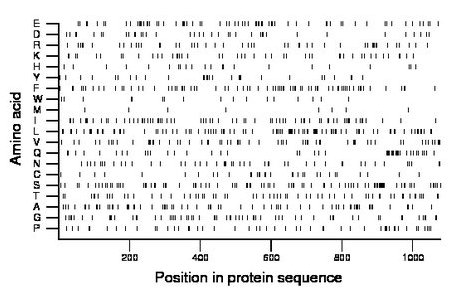 amino acid map