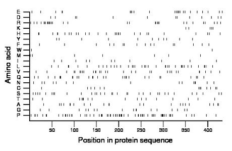 amino acid map