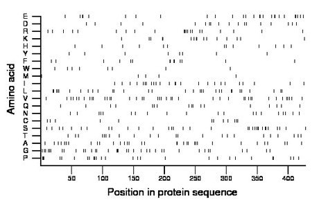 amino acid map