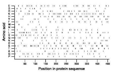 amino acid map