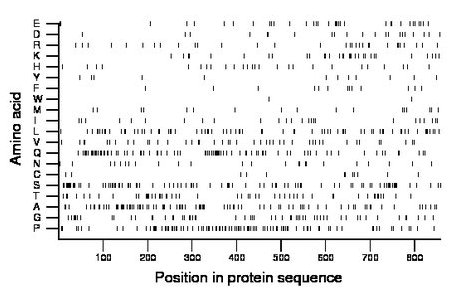 amino acid map