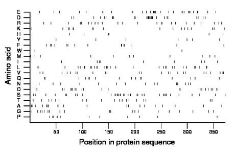 amino acid map