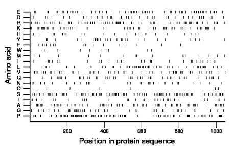 amino acid map