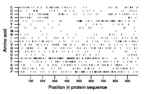 amino acid map