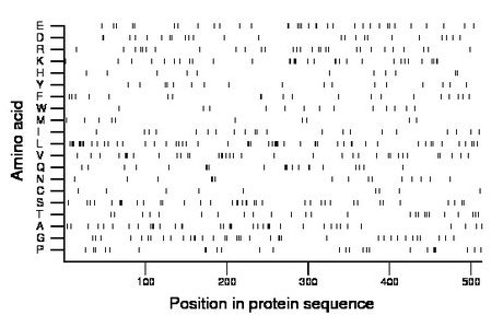 amino acid map