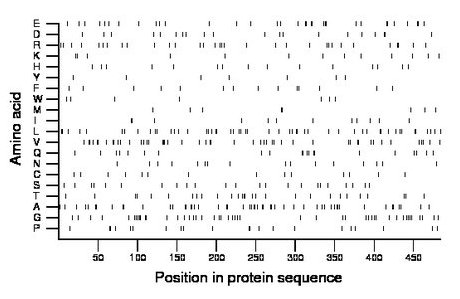 amino acid map