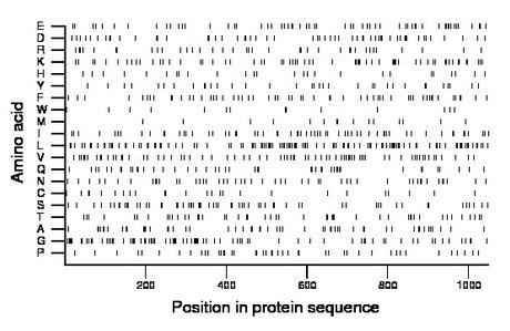 amino acid map