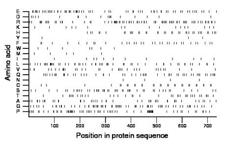 amino acid map