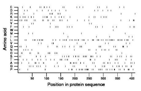 amino acid map