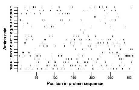 amino acid map