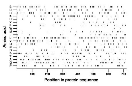 amino acid map