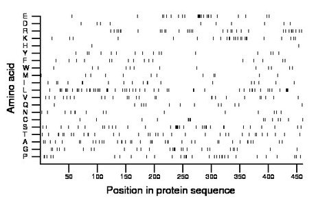 amino acid map