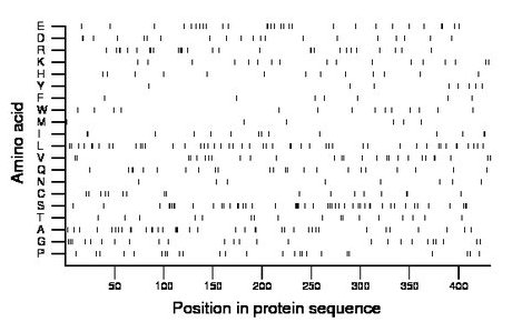 amino acid map