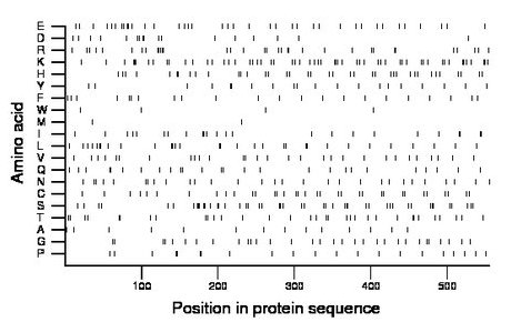 amino acid map