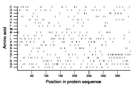 amino acid map