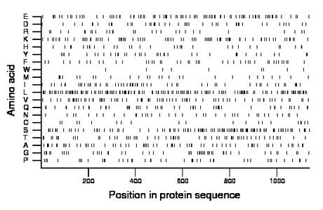 amino acid map