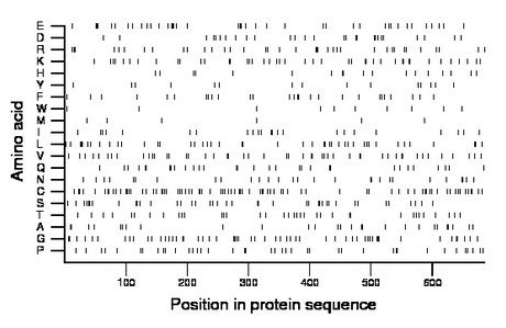 amino acid map