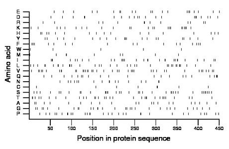 amino acid map