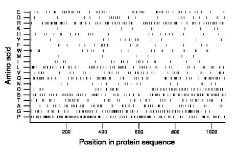 amino acid map