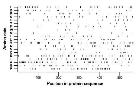 amino acid map