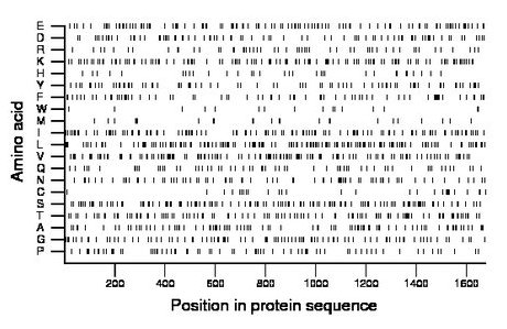 amino acid map